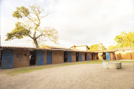 foto do local 4