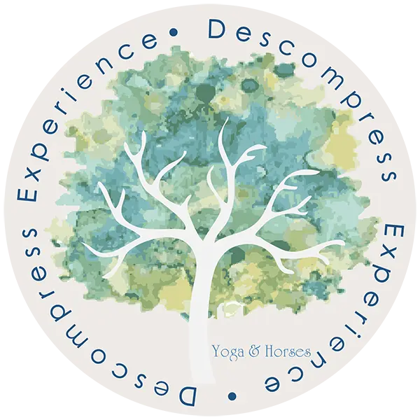 logo-descompress